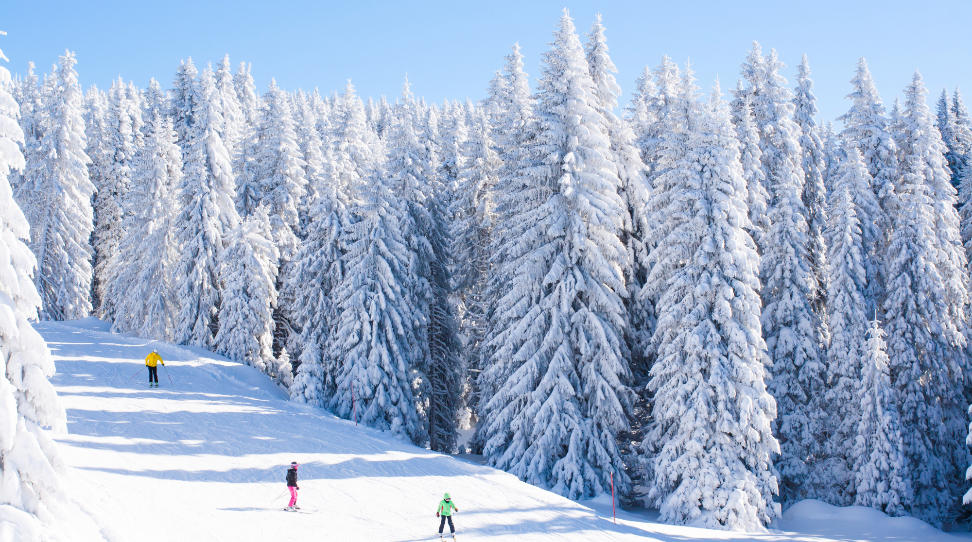 /fajlovi/city/kopaonik-672.png
