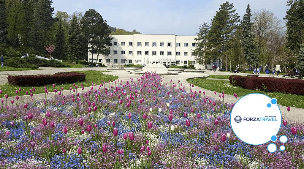 Institut Niška Banja