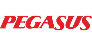 Pegasus